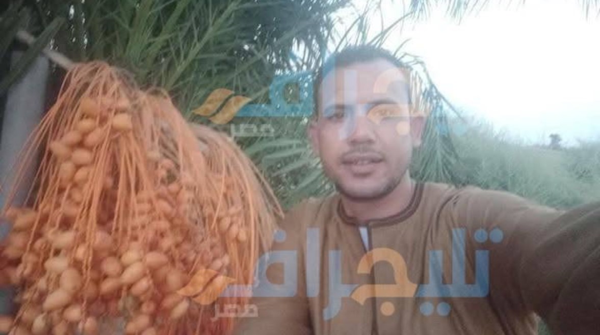 شريف محمود عبد الونيس أحد ضحايا حادث الإقليمي شريف محمود عبد الونيس أحد ضحايا حادث الإقليمي