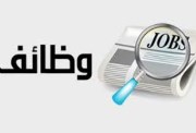 شغل الوظائف بوزارة النقل