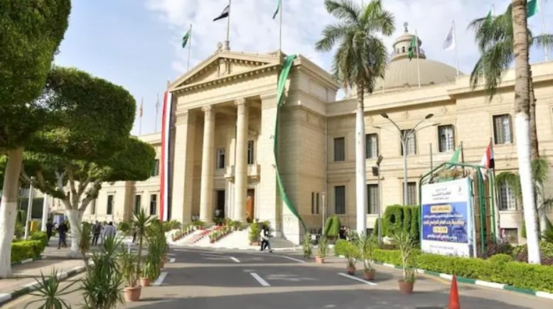 قصر العيني