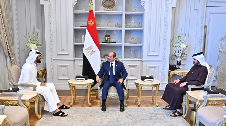 الرئيس عبد الفتاح السيسي