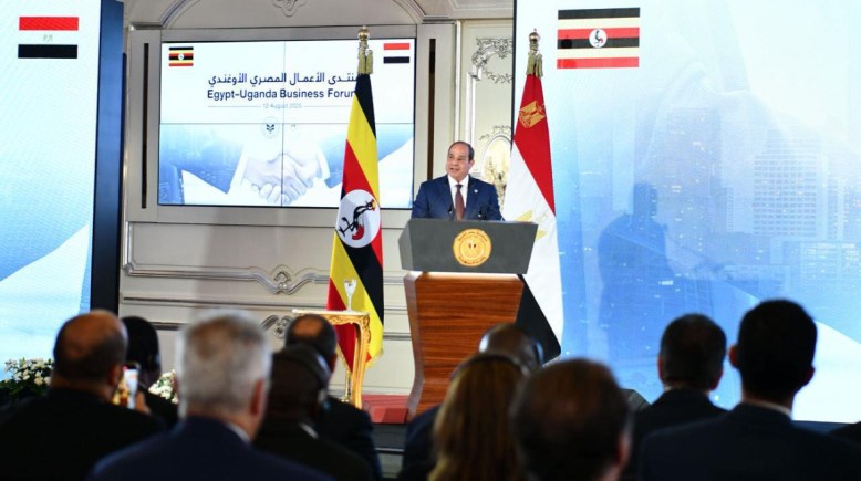 الرئيس عبدالفتاح السيسي