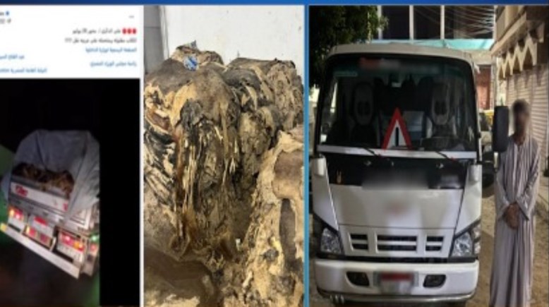 المتهم والمضبوطات وجانب من الواقعة