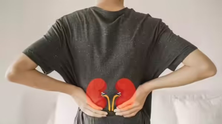 أمراض الكلى