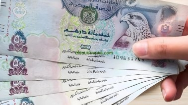 سعر صرف الدرهم الإماراتي