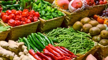 الخضراوات والفواكهة
