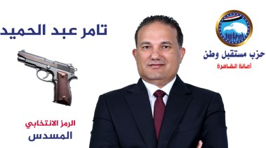 تامر عبد الحميد