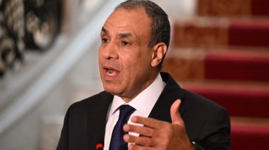 وزير الخارجية بدر عبدالعاطي