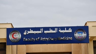 طب بيطري