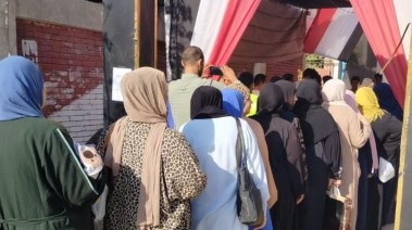 انتخابات مجلس الشيوخ