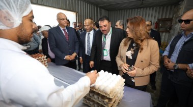 مشروع الـ30 مليون بيضة بالخانكة