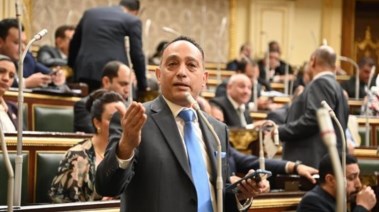 عضو مجلس النواب فريدي البياضي