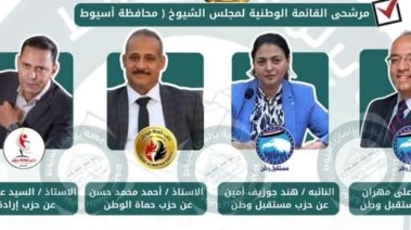 نواب القائمة 