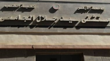 مستشفى سيد جلال