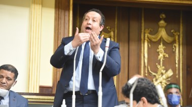 الدكتور محمد عبد الغني