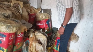 جانب من الحملة اليوم