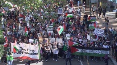 مظاهرات في نيوزلاندا لدعم فلسطين