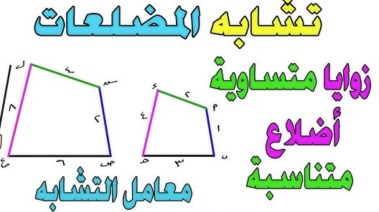 شرح درس تشابه المضلعات للصف الأول الثانوي 2025