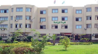 تنسيق كلية الزراعة جامعة المنصورة 2025