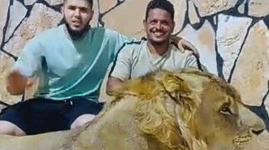 علاء الصعيدي صاحب فيديو الأسد وصاحبه الليبي
