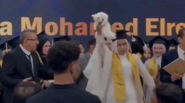 الفتاه وقطتها على خشبة المسرح
