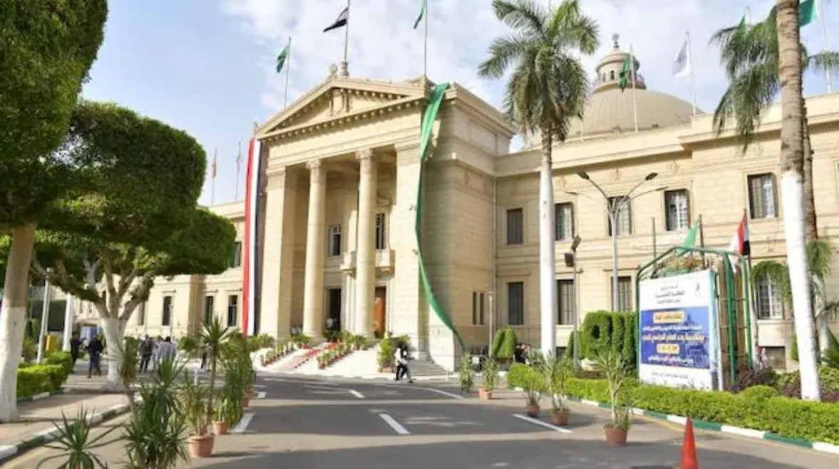 قصر العيني قصر العيني