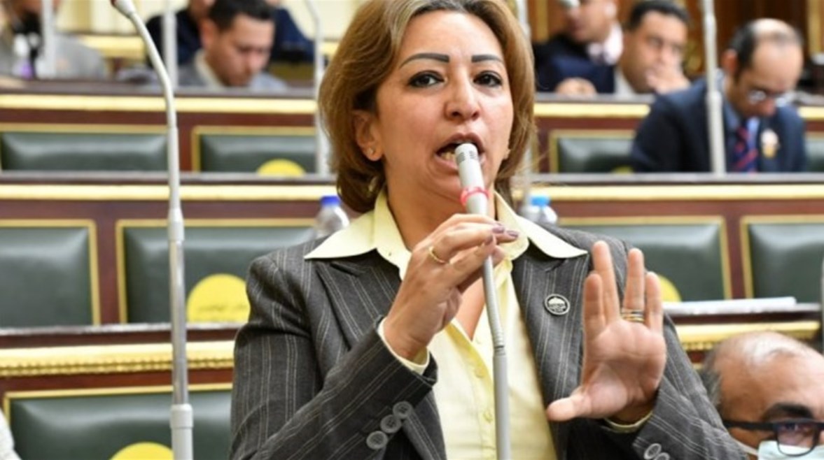 عضو مجلس النواب عن الحزب المصري الديمقراطي الاجتماعي، الدكتورة مها عبد الناصر عضو مجلس النواب عن الحزب المصري الديمقراطي الاجتماعي، الدكتورة مها عبد الناصر