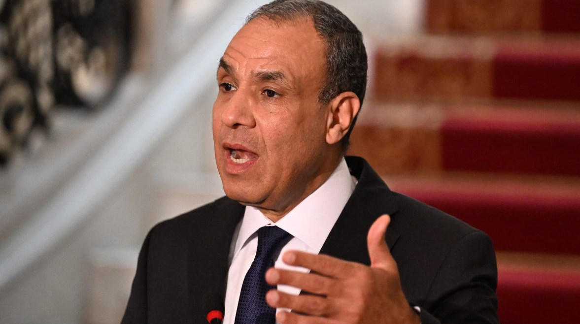 وزير الخارجية بدر عبدالعاطي