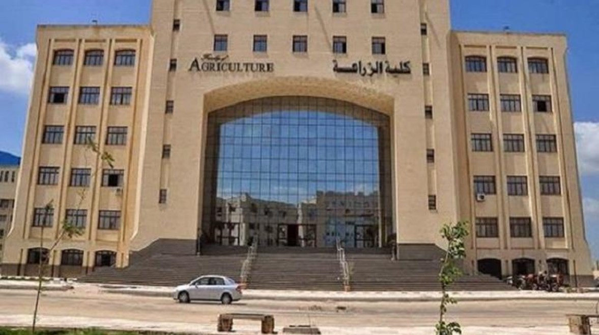 كلية الزراعة كلية الزراعة