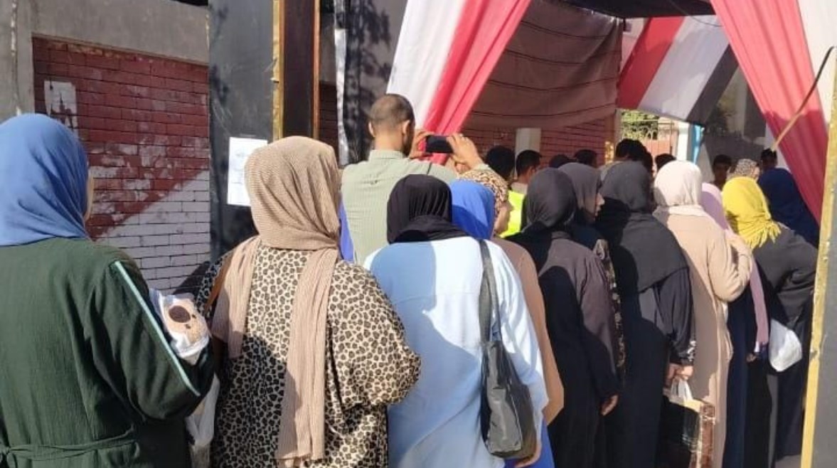 انتخابات مجلس الشيوخ انتخابات مجلس الشيوخ