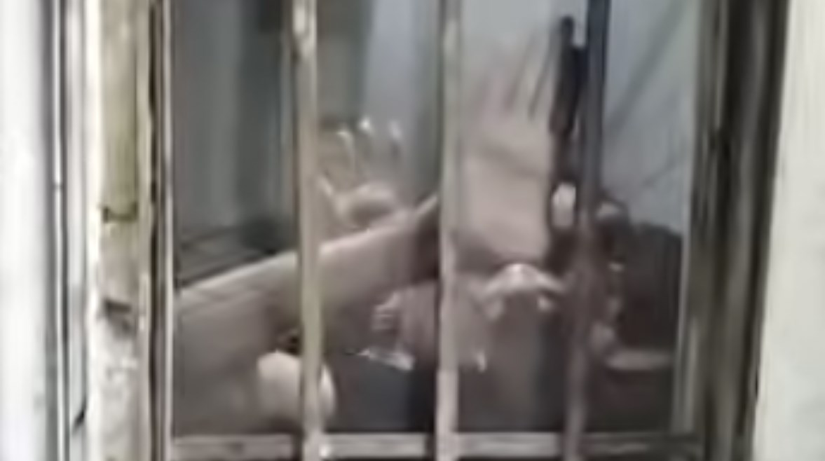 جانب من الواقعة جانب من الواقعة