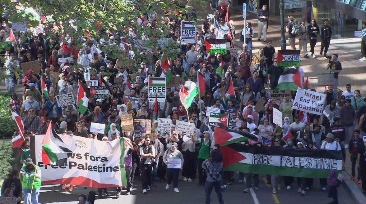 مظاهرات في نيوزلاندا لدعم فلسطين مظاهرات في نيوزلاندا لدعم فلسطين