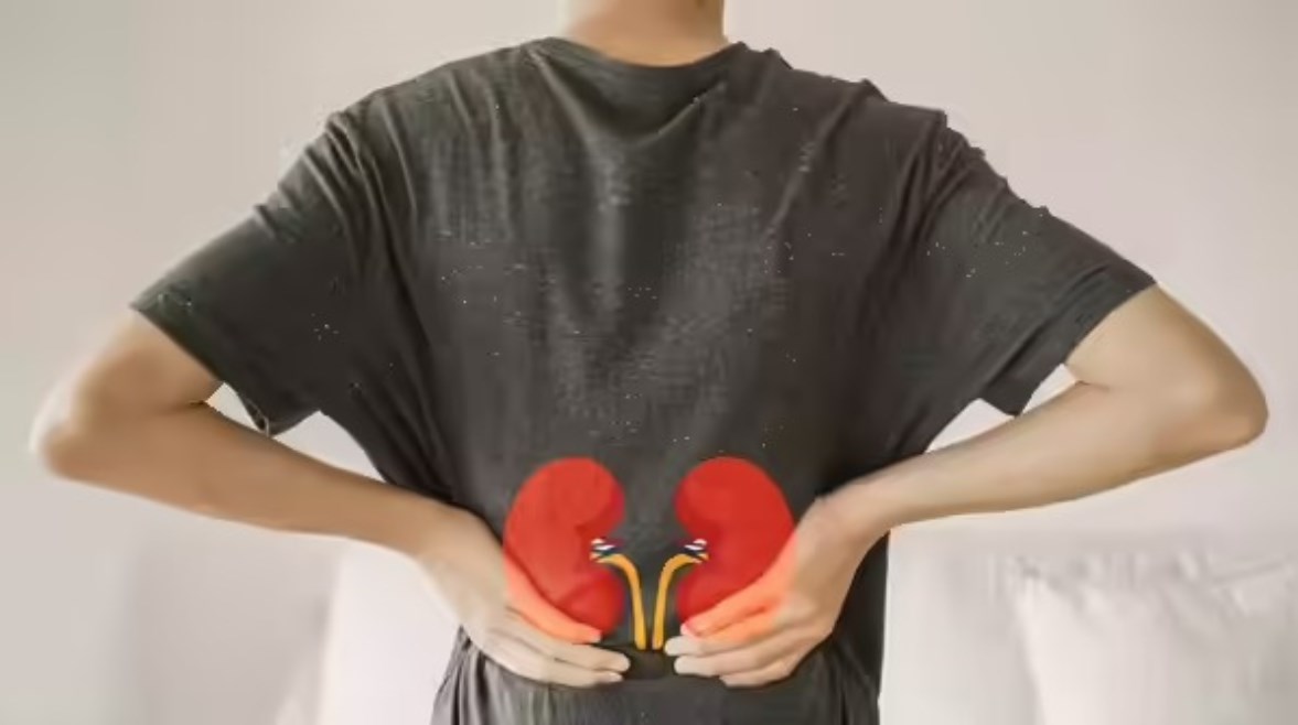 أمراض الكلى