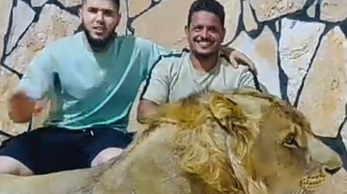 علاء الصعيدي صاحب فيديو الأسد وصاحبه الليبي