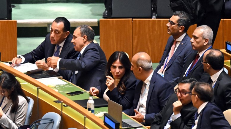 المؤتمر الدولي رفيع المستوى "من أجل التسوية السلمية لقضية فلسطين وتنفيذ حل الدولتين"