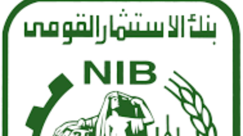 بنك الاستثمار القومي