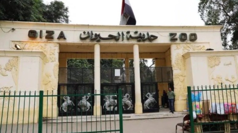 حديقة الحيوان بالجيزة