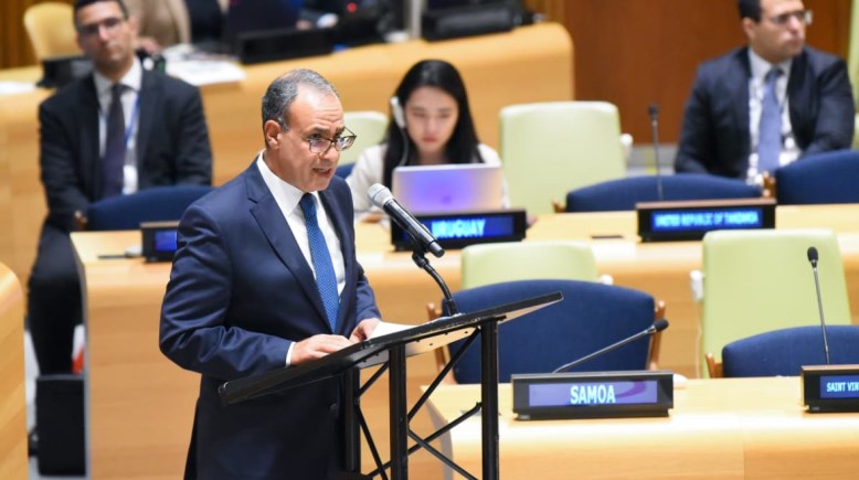 وزير الخارجية والهجرة وشؤون المصريين بالخارج، الدكتور بدر عبد العاطي