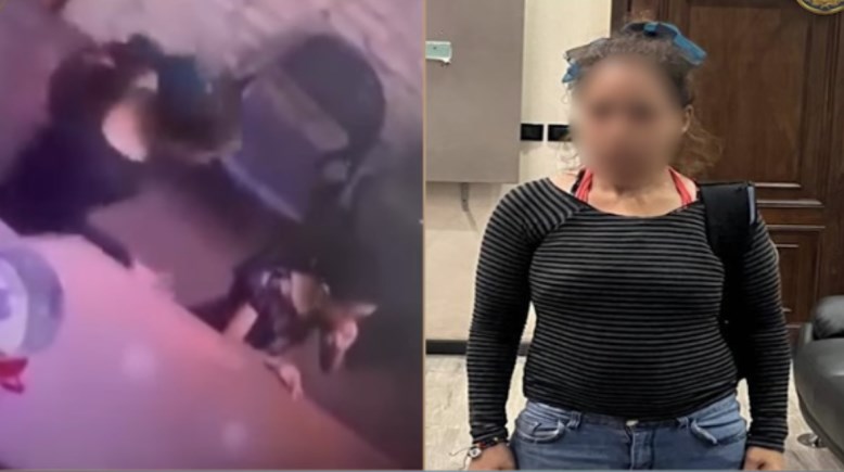 الواقعة والمتهمة بمحاولة خطف طفلة الواقعة والمتهمة بمحاولة خطف طفلة