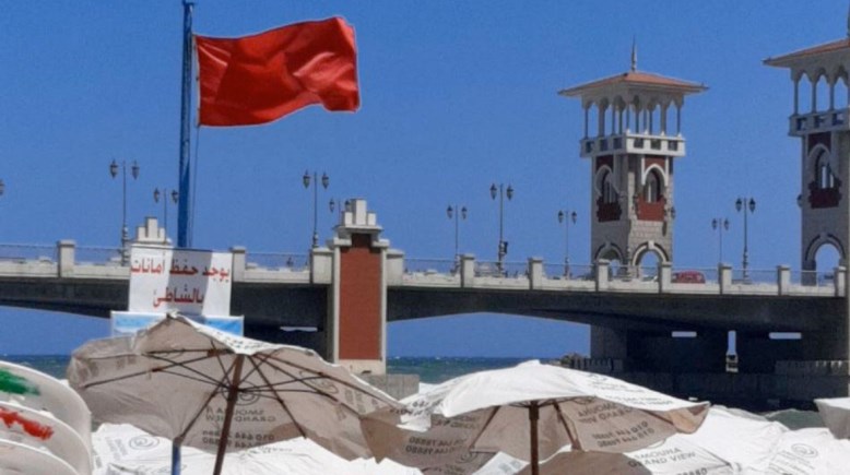 الشاطئ الشاطئ