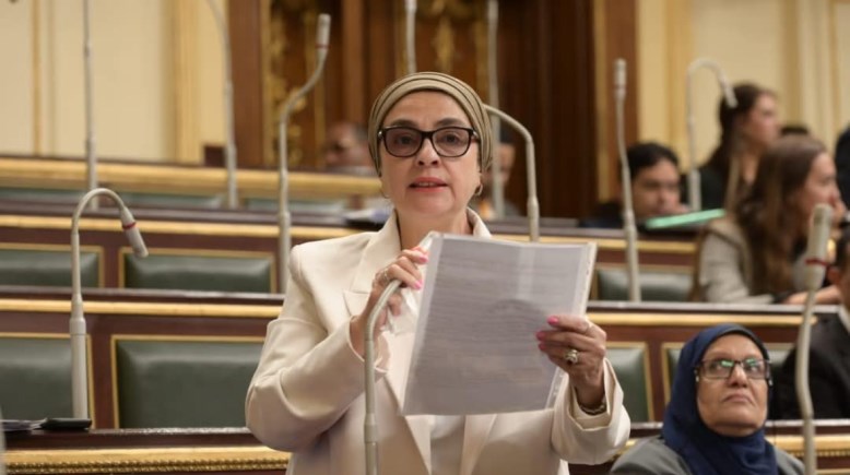 عضو مجلس النواب - النائبة سميرة الجزار