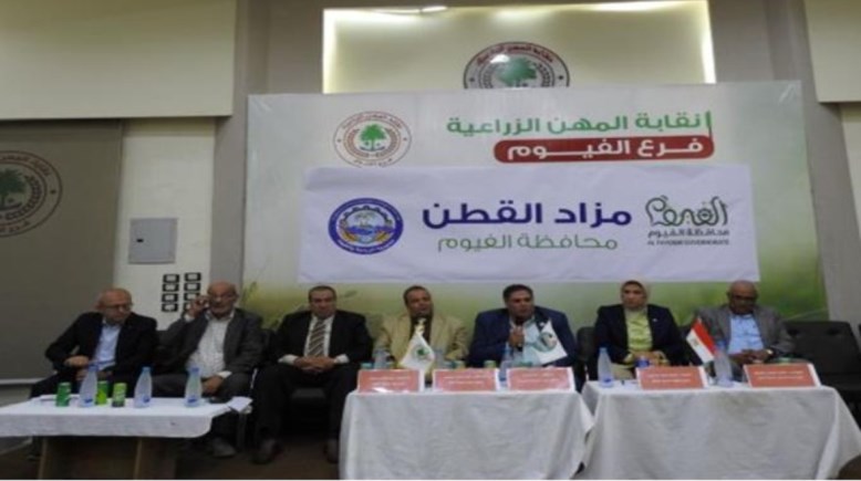 صورة من المزاد 