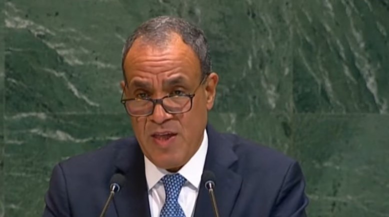 وزير الخارجية  الدكتور بدر عبد العاطي- أرشيفية وزير الخارجية  الدكتور بدر عبد العاطي- أرشيفية