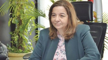 المهندسة مي عبد الحميد