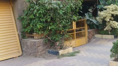 منزل عروس حلوان