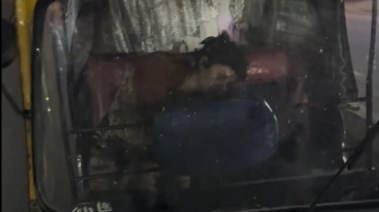 محاولة اختطاف فتاة