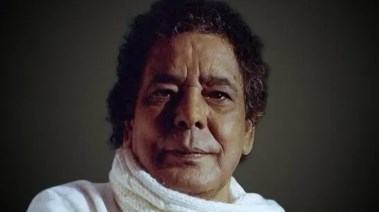 الفنان محمد منير