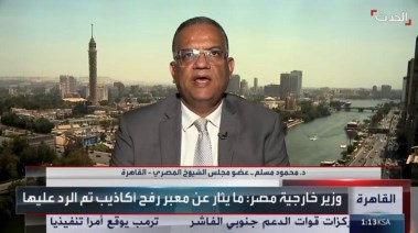 أمين الإعلام بحزب الجبهة الوطنية، الدكتور محمود مسلم