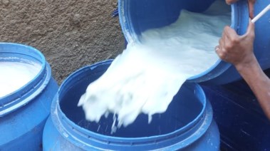 المضبوطات 
