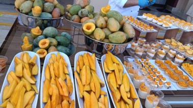 مهرجان المانجو في الغردقة
