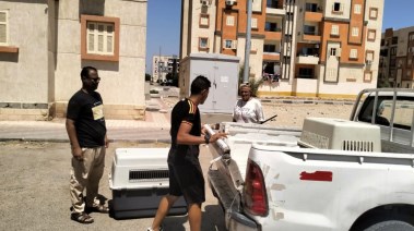 جانب من حملة منع الكلاب الضالة بشوارع الغردقة